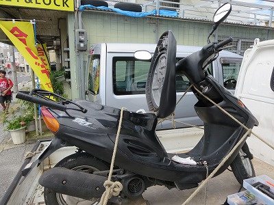 IMG_7695トリ