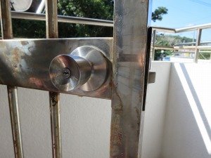 IMG_0561.jpg