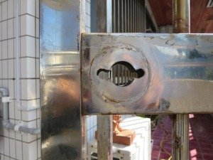 IMG_0564.jpg