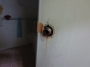 IMG_0720.jpg