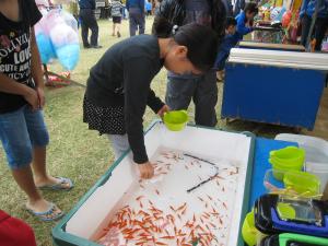 金魚すくい