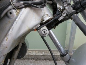 IMG_3263.jpg