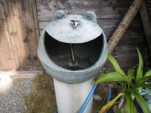 カエル