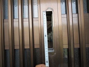 IMG_5942.jpg