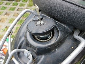 IMG_6000.jpg