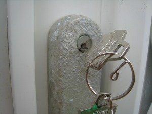 IMG_7428.jpg
