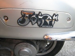 IMG_7627.jpg