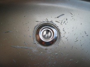 IMG_7630.jpg
