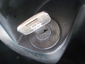 IMG_7737.jpg