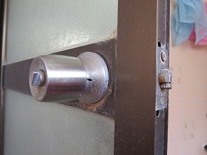IMG_7956.jpg