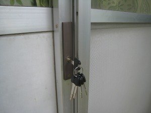IMG_8498.jpg