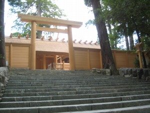 IMG_9103.jpg