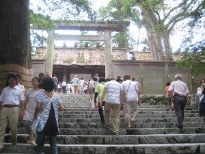IMG_9104.jpg